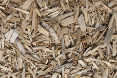 biomass boilers Langloan